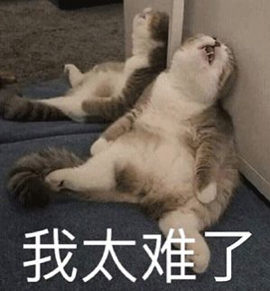 跨次元跨行业强行联动-国产老牌网游联动喜羊羊