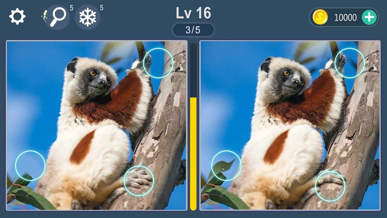 差异寻找之旅 v3.1.72