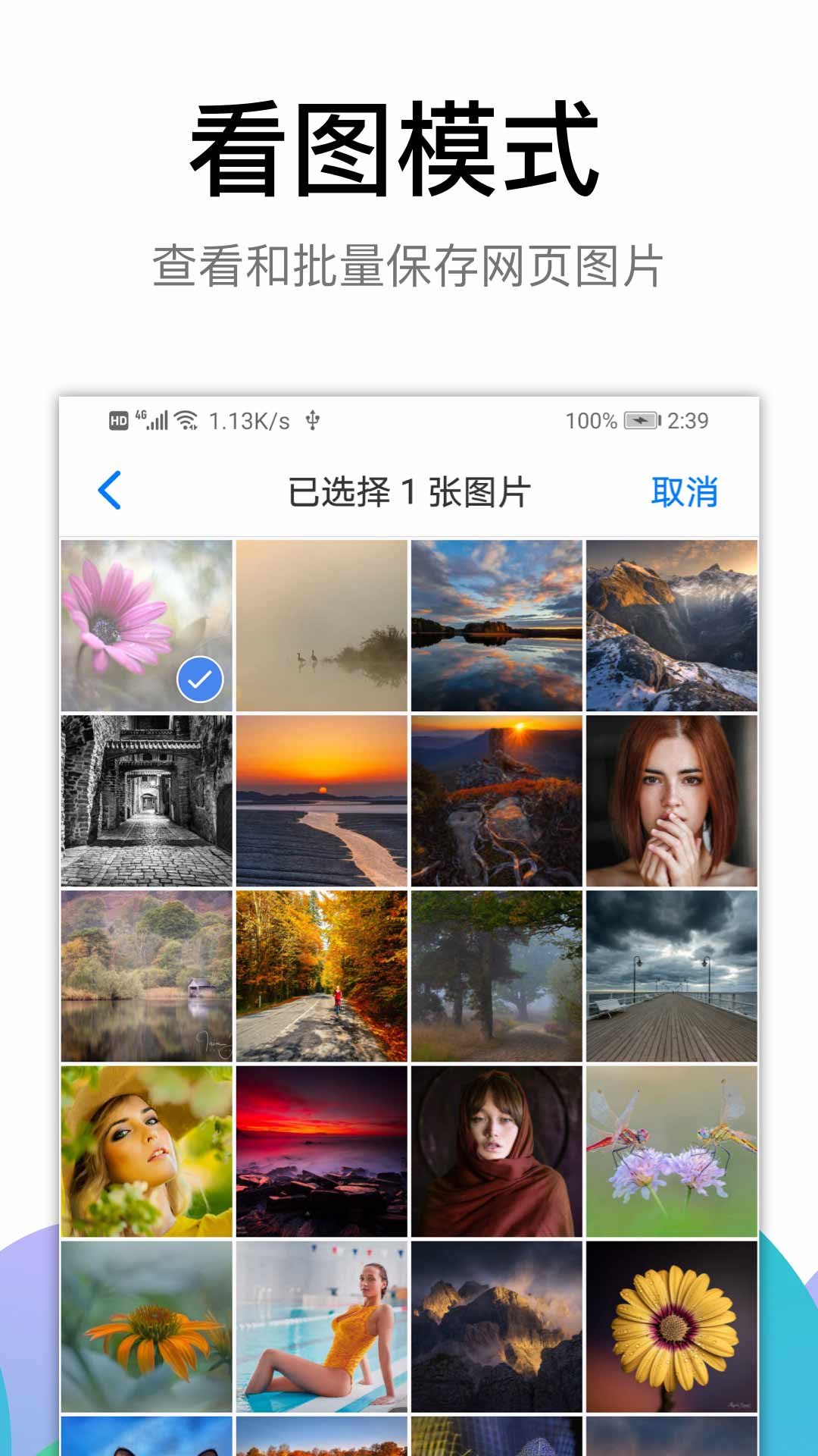 Alook 浏览器 v5.5-4