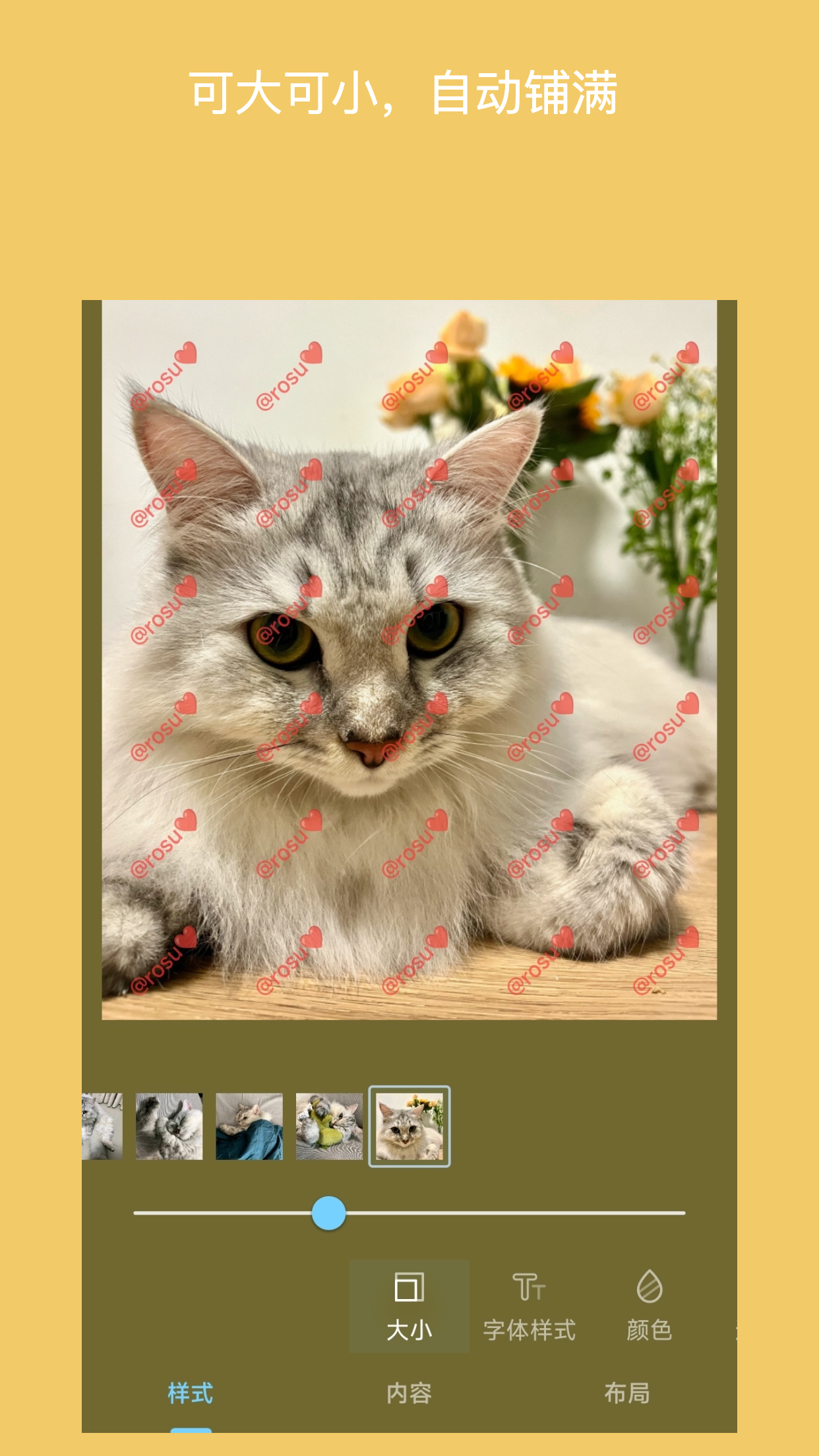 简单水印 v2.6.8-1 简单水印 v2.6.8