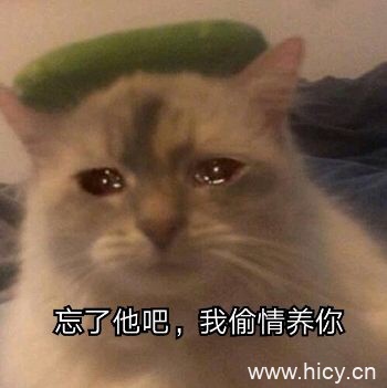 忘了他吧，我养你系列表情包-4