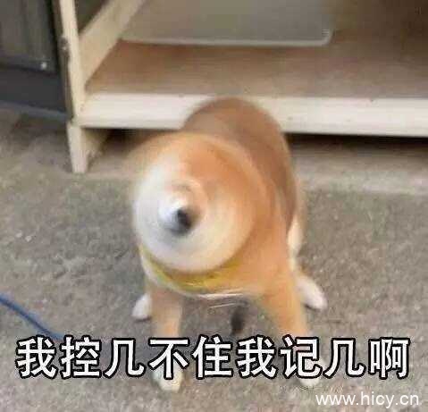 控几不住我记几系列表情包