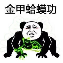 功夫斗图表情包合集-5 功夫斗图表情包合集