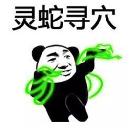 功夫斗图表情包合集-28 功夫斗图表情包合集