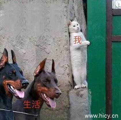 被生活按在地上摩擦-1 被生活按在地上摩擦