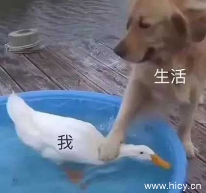 被生活按在地上摩擦-4 被生活按在地上摩擦