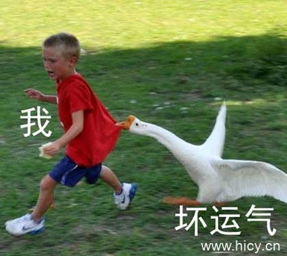 被生活按在地上摩擦-5 被生活按在地上摩擦