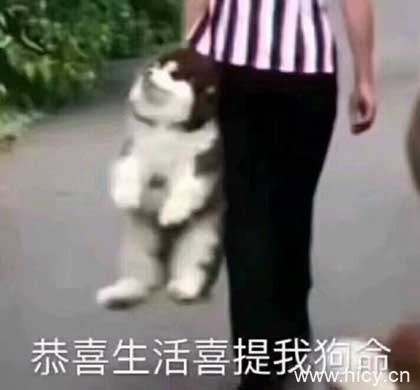 被生活按在地上摩擦-7 被生活按在地上摩擦