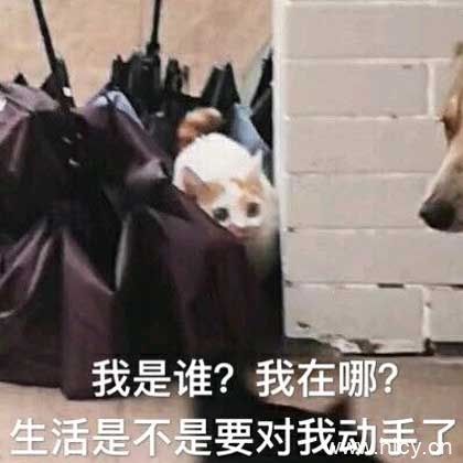 被生活按在地上摩擦-8 被生活按在地上摩擦