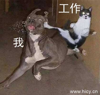 被生活按在地上摩擦-10 被生活按在地上摩擦