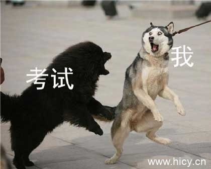 被生活按在地上摩擦-9 被生活按在地上摩擦