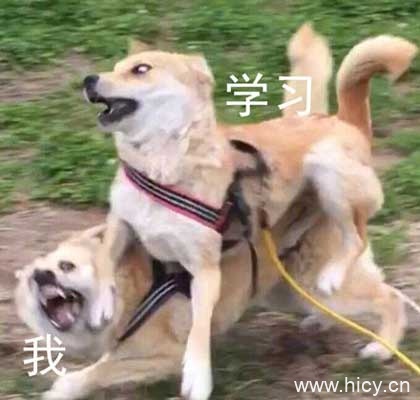 被生活按在地上摩擦-12 被生活按在地上摩擦