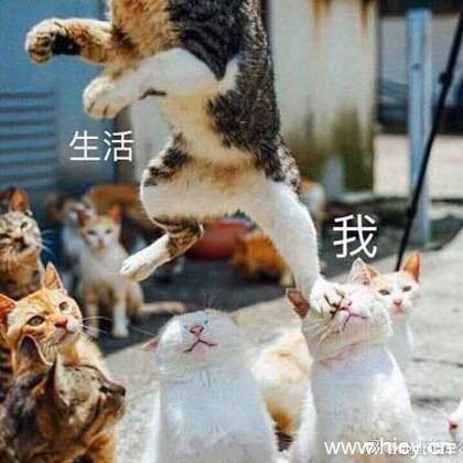 被生活按在地上摩擦-14 被生活按在地上摩擦