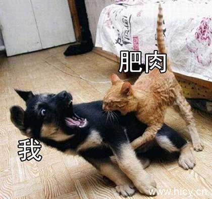 被生活按在地上摩擦-16 被生活按在地上摩擦