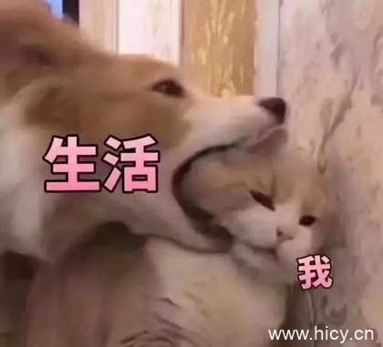 被生活按在地上摩擦-13 被生活按在地上摩擦