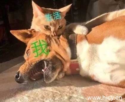 被生活按在地上摩擦-17 被生活按在地上摩擦