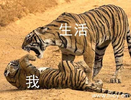 被生活按在地上摩擦-19 被生活按在地上摩擦