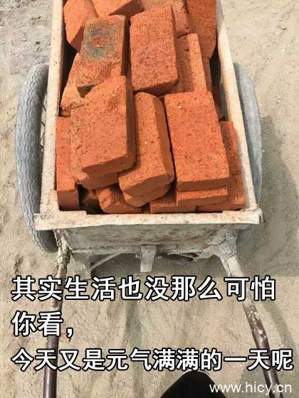 被生活按在地上摩擦-22 被生活按在地上摩擦