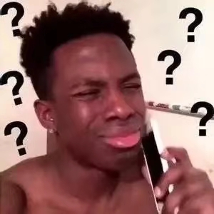 那个满脸都是问号的表情-5