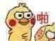 贱萌小黄鸡系列表情包30张-18 贱萌小黄鸡系列表情包30张
