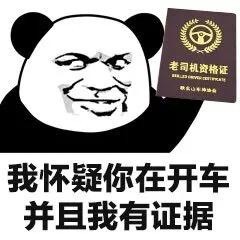 怀疑却没有证据系列表情包