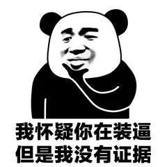 怀疑却没有证据系列表情包