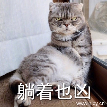 没有人可以比劳资更凶，超凶的猫猫表情系列