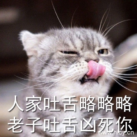 没有人可以比劳资更凶，超凶的猫猫表情系列