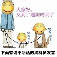 群里怼管理员系列表情包