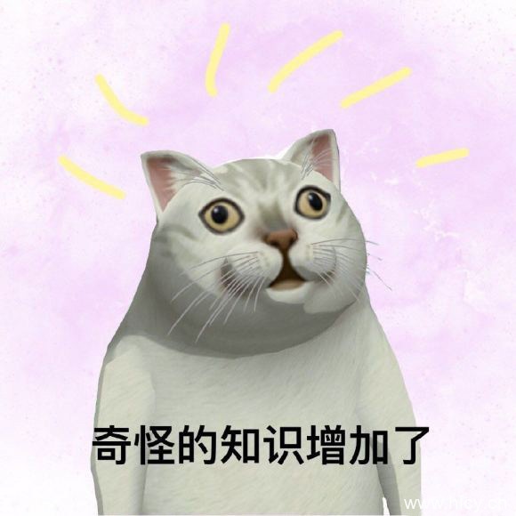 Mur猫系列表情包集合-3 Mur猫系列表情包集合