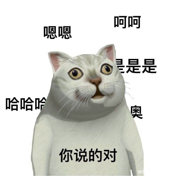 Mur猫系列表情包集合-2 Mur猫系列表情包集合