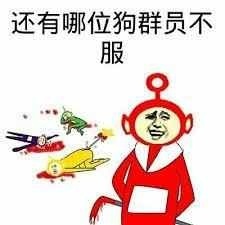 群里怼管理员系列表情包