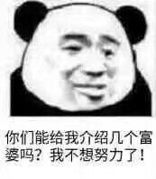 介绍富商富婆系列表情包