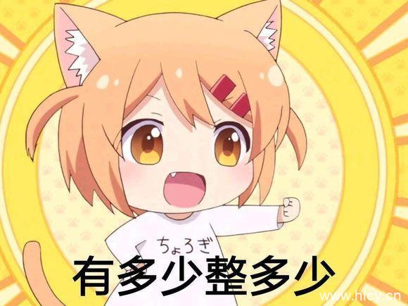 猫咪日常小曼整一个系列表情包-5 猫咪日常小曼整一个系列表情包