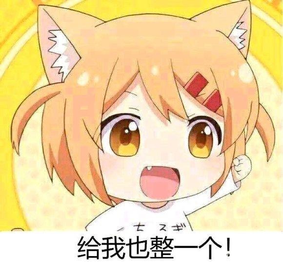 猫咪日常小曼整一个系列表情包-3 猫咪日常小曼整一个系列表情包