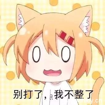 猫咪日常小曼整一个系列表情包-13 猫咪日常小曼整一个系列表情包