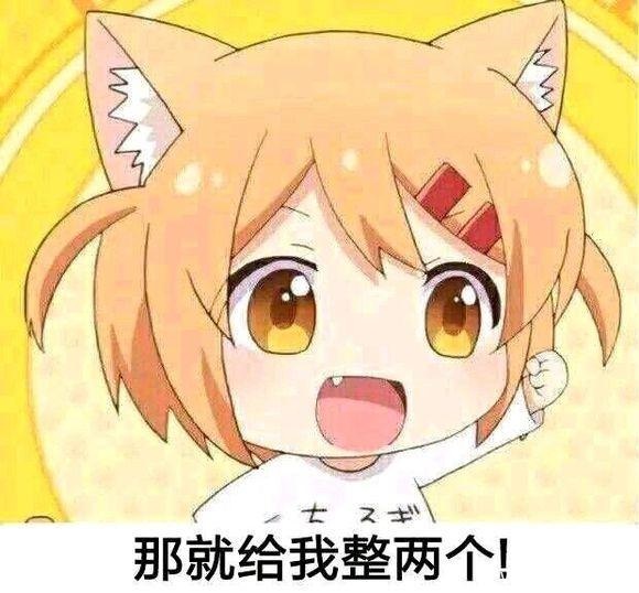 猫咪日常小曼整一个系列表情包-11 猫咪日常小曼整一个系列表情包