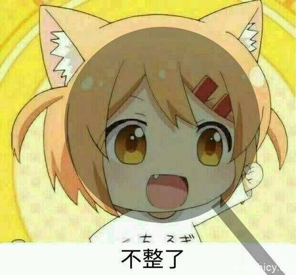 猫咪日常小曼整一个系列表情包-12 猫咪日常小曼整一个系列表情包