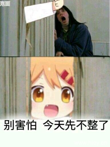 猫咪日常小曼整一个系列表情包-14 猫咪日常小曼整一个系列表情包