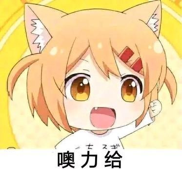 猫咪日常小曼整一个系列表情包-15 猫咪日常小曼整一个系列表情包