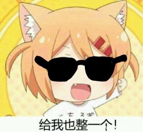 猫咪日常小曼整一个系列表情包-17 猫咪日常小曼整一个系列表情包