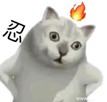 Mur猫系列表情包集合-4 Mur猫系列表情包集合