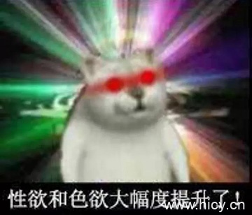 Mur猫系列表情包集合-6 Mur猫系列表情包集合