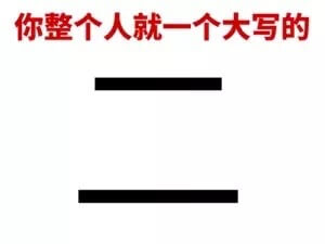 你整个人就是一个大写的...系列表情包