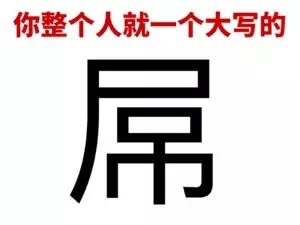 你整个人就是一个大写的...系列表情包