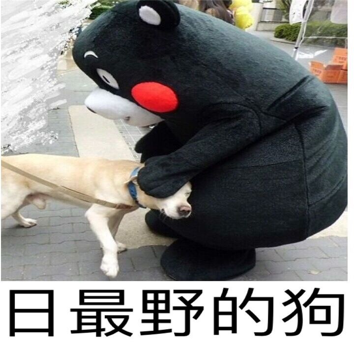 熊本熊的人生系列表情包