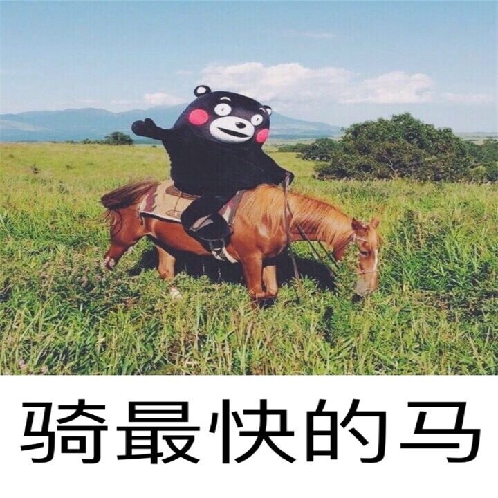 熊本熊的人生系列表情包