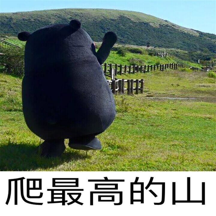 熊本熊的人生系列表情包