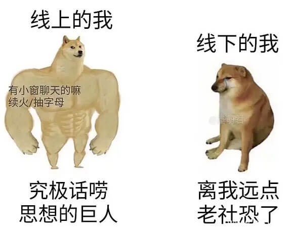 肌肉柴犬和小废柴生动对比搞笑表情图
