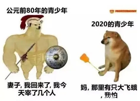 肌肉柴犬和小废柴生动对比搞笑表情图
